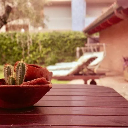 Riviera Vintage Estate * Montesilvano Marina