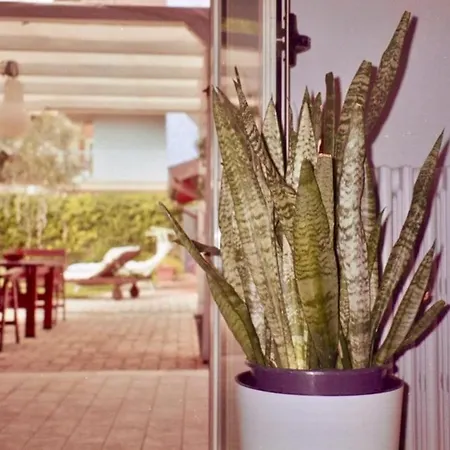 Holiday home Riviera Vintage Estate Montesilvano