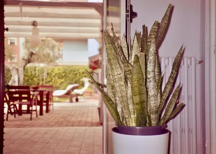 別荘 Riviera Vintage Estate Montesilvano Marina